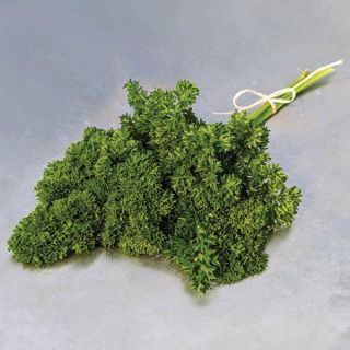 Darki Parsley Thumbnail